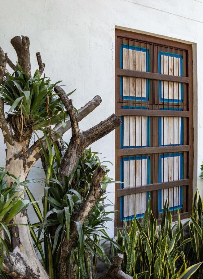 Casa Jacaranda Hotel Boutique - Cauca Viejo - Mayores De 14 Anos - Херико Екстериор снимка