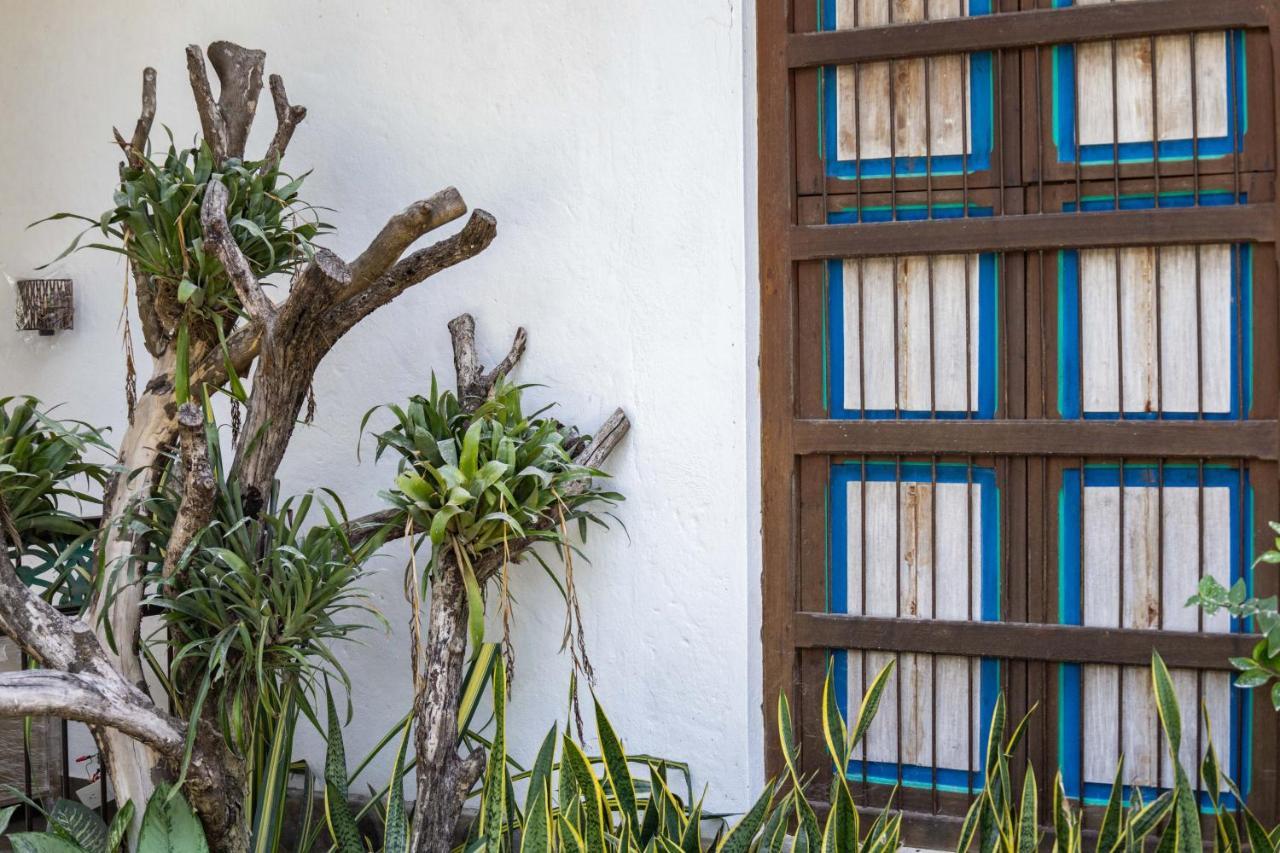 Casa Jacaranda Hotel Boutique - Cauca Viejo - Mayores De 14 Anos - Херико Екстериор снимка
