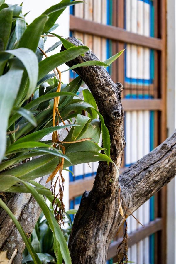 Casa Jacaranda Hotel Boutique - Cauca Viejo - Mayores De 14 Anos - Херико Екстериор снимка