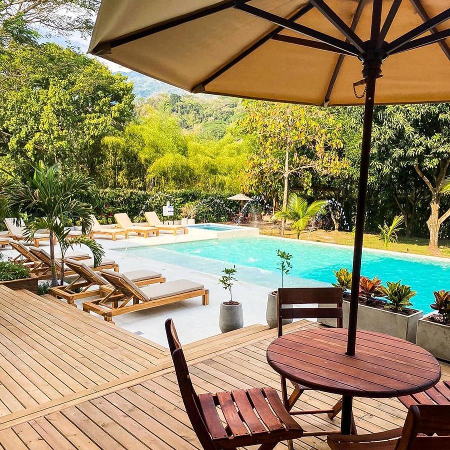 Casa Jacaranda Hotel Boutique - Cauca Viejo - Mayores De 14 Anos - Херико Екстериор снимка